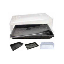 Load image into Gallery viewer, Mondi Propagation Kit - 3 Pieces with Dome, Tray and Lattice - The Hippie House