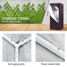 Load image into Gallery viewer, SF Grow Tent 60cm X 60cm X 140cm - The Hippie House