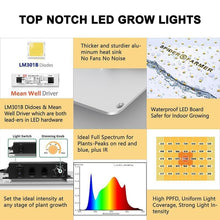 Load image into Gallery viewer, Spider Farmer LED Grow Light - SF1000 - The Hippie House