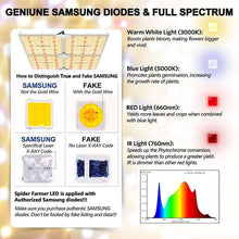 Load image into Gallery viewer, Spider Farmer LED Grow Light - SF4000 - The Hippie House
