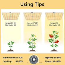 Load image into Gallery viewer, Spider Farmer LED Grow Light - SF4000 - The Hippie House