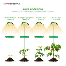 Load image into Gallery viewer, Viparspectra LED Grow Light - SMD Chips - P600 - The Hippie House