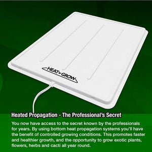 Heated Propagation Tray - 300 X 400 X 10mm - The Hippie House