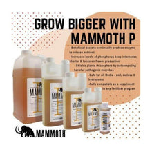 Load image into Gallery viewer, Mammoth P / Microbe Phosphorus Booster - 120ml - The Hippie House
