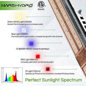 Mars Hydro SP3000 LED Grow Light - The Hippie House
