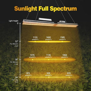 Mars Hydro SP3000 LED Grow Light - The Hippie House