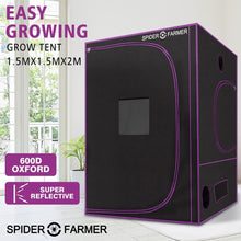 Load image into Gallery viewer, SF Grow Tent 150cm X 150cm X 200cm - The Hippie House
